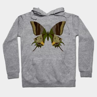 beautiful butterfly Hoodie